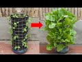 How To Make A Vertical Garden With Automatic Watering To Grow Vegetables