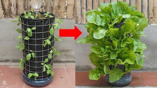 How To Make A Vertical Garden With Automatic Watering To Grow Vegetables