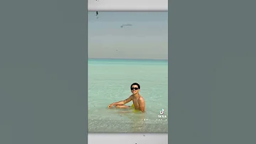يا اصحاب كلاب قلبي في خطر ال تيجر 
