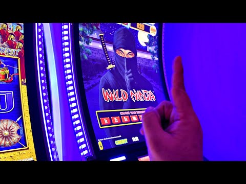 Buffalo Free Games on a $200 Bet! 馃Μ馃挼 #slots #casino #gambling