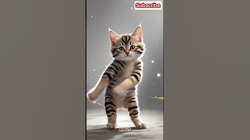 apt bruno mars version cute cat #cat #dance #funny