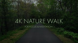 Ambient Nature Walk in 4K: Calming & Relaxing Sounds for Meditation