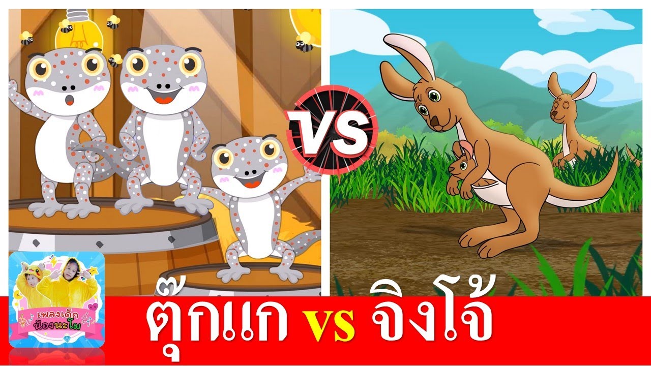 ตุ๊กแก vs จิงโจ้ | เพลงเด็ก เรียนรู้เรื่องสัตว์