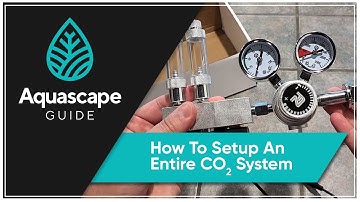 AquascapeGuide - How To Setup An Entire Co2 System