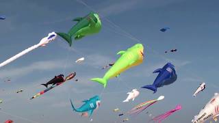 30º KITE FESTIVAL CORRALEJO 2017 - FUERTEVENTURA