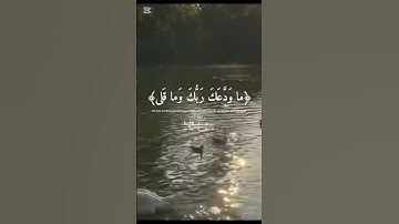 🪔الضحى والليل اذا سجى🪔#سورة_الضحى#عبدالباسط_عبدالصمد #تلاوة_خاشعة #اجر_لي_ولك#حالات_واتس_اب