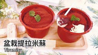 盆栽提拉米蘇｜Tiramisu【用點心做點心】Ann 