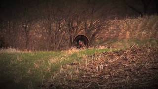 Squealing Hen Call Guide