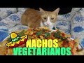 HAGO NACHOS VEGETARIANOS