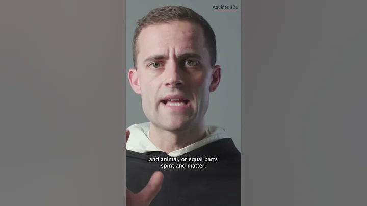 Am I my brain? Am I my soul? w/ Fr. Gregory Pine, ...