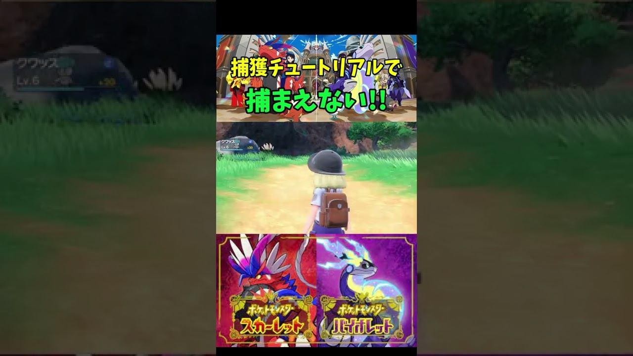 倒す！！『ポケットモンスター スカーレット・バイオレット』【Pokémon/Scarlet/Violet/switch/プレイ動画/ポケモン/切り抜き】#Shorts