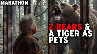 This Granny Has A Crazy Relationship With These Bears & Tigers | Curious?: Natural World