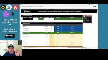 Safuu | SafuuX | A history of blockchain gains translated to SafuuX