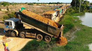 First Start New Project!! Activities of the 5-ton trucks pour soil & pushing soil by Dozer D20P