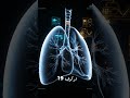 فيروس هانتا ضد كورونا هل نقترب من جائحة جديدة  mp3