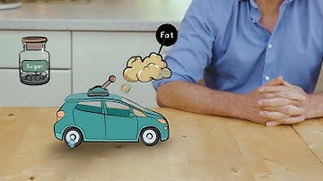 The Fast 800 Online Programme