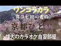京都ひとり 昭和の歌謡ワンコラカラ
