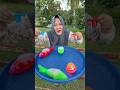 Llego el pavo #shorts #subscribe #funny #trending