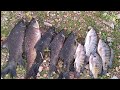 ROHU FISHING NEW VIDEO PART 5 , CHINTU FISHING STORE, KADIRI CELL 9866985586