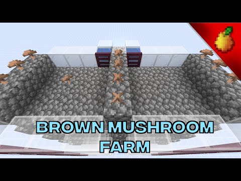 Automatic Brown Mushroom Farm