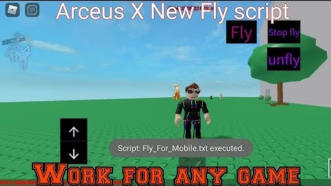 Arceus x New fly Script For Any Game