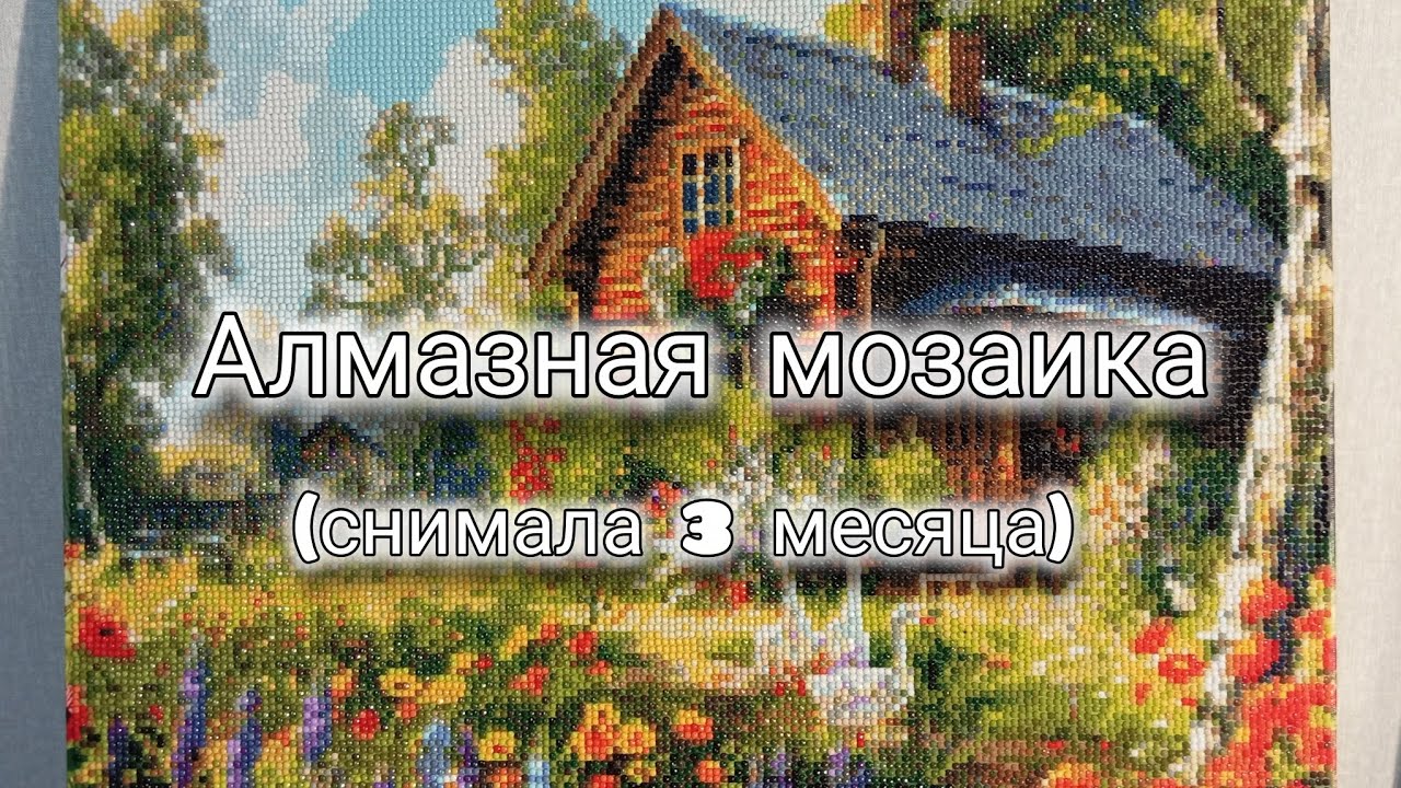СОБИРАЮ КАРТИНУ из Алмазной Мозаики // Dmitrieva Daria