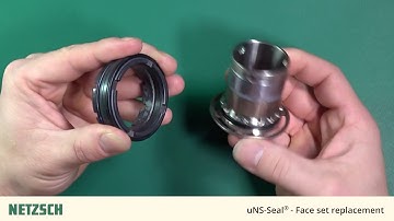 NETZSCH Pumps UK: Primary Seal Face Set Replacement on Tornado T2 T-Proc pump