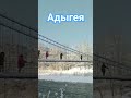 Путешествия в Адыгею👍 #путешествия #shortvideo #адыгея #еда #экскурсия