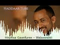 Best Oromo music 🎶 Hirphaa Gaanfuree - Walaawwali 🎶 @Haddaar Tube