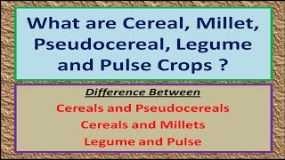 What are Cereal, Millet, Pseudocereal, Legume and Pulse Crops ?