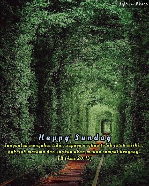 Story Wa Rohani Selamat Hari Minggu 💒 // Minggu, 6 Juni 2021 // Story Wa Rohani Happy Sunday