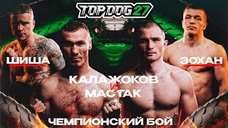 Top Dog 27 | Калажоков Vs Мастак, Шиша Vs Зохан | Чемпионский Бой