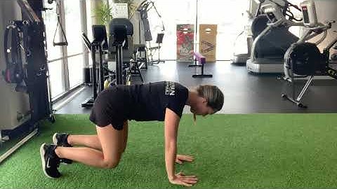 Quadruped Hover Holds