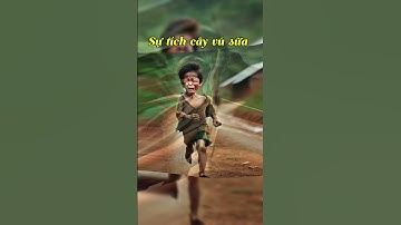 Sự tích cây vú sữa #chatgpt #ai #aivietnam