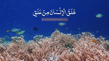 سورة العلق - عمر هشام العربي