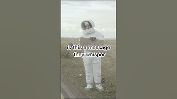 The Encounter: Alien Signals from Beyond #Aliens #SciFiShort #FirstContact #SpaceMystery
