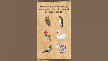 Memory Test Challenge 🤯😍 Intuition test #intuitiontest #testyourskills #braingames