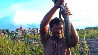 ikan monster monster mancing di parit #fishing