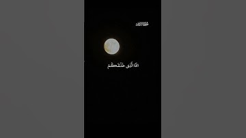 الله الذي خلقكم ثم رزقكم #تلاوة_خاشعة #قران_كريم |الشيخ ياسر الدوسري
