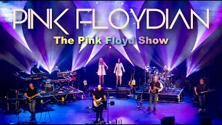 Us & Them - Pink Floyd cover performed by Pink Floydian