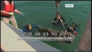 Blackbeard Queen Anne's Revenge Gun Lift Video Nautilus Productions HD Stock Footage Blackbeard Queen Anne's Revenge Gun Lift Video Nautilus Productions HD Stock Footage