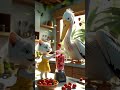 I Am Broken ЁЯТФЁЯТФЁЯТФЁЯТШ Cats Shorts Short Aianimation Viral Youtubeshorts Catlovers I Am Broken ЁЯТФЁЯТФЁЯТФЁЯТШ Cats Shorts Short Aianimation Viral Youtubeshorts Catlovers