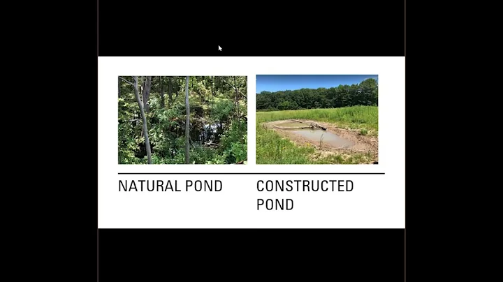 Habitat Requirements of Endangered Ambystoma Larva...