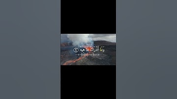تلاوة مؤثرة من سورة القارعة بصوت القارئ ناصر القطامي 💔🥺 #قرآن #قران #قرآن_كريم #تلاوات_خاشعة #حالات