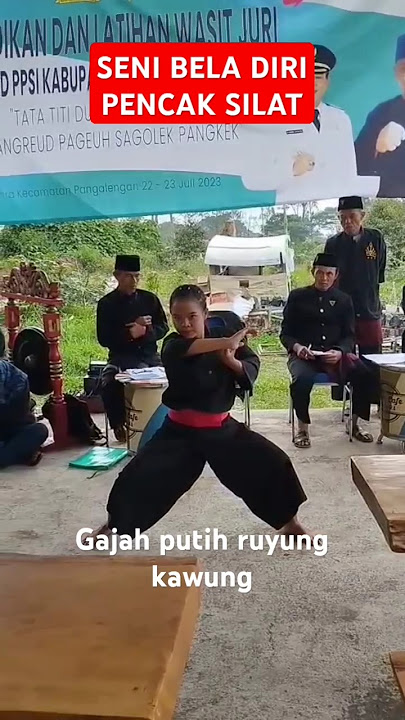 #SHORTS || Ibing tepak 2 Gajah putih ruyung kawung tina fauziah