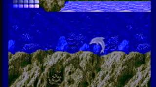 Dazzle Capture Card Test 1 - Ecco the Dolphin