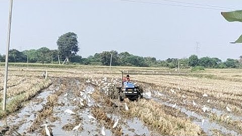 Sonalika di42 Tractor 1st day video in my Village || SRIKANTH PS