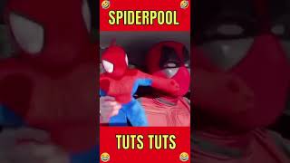 Spiderpool Tuts