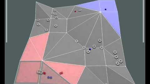 Leiden wins ICPC Challenge 2011