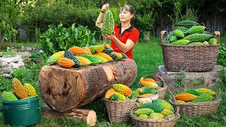 365 Days Harvesting Bitter Gourds Goes To Market Sell, Buying Net For Chickens Phuong Harvest Life